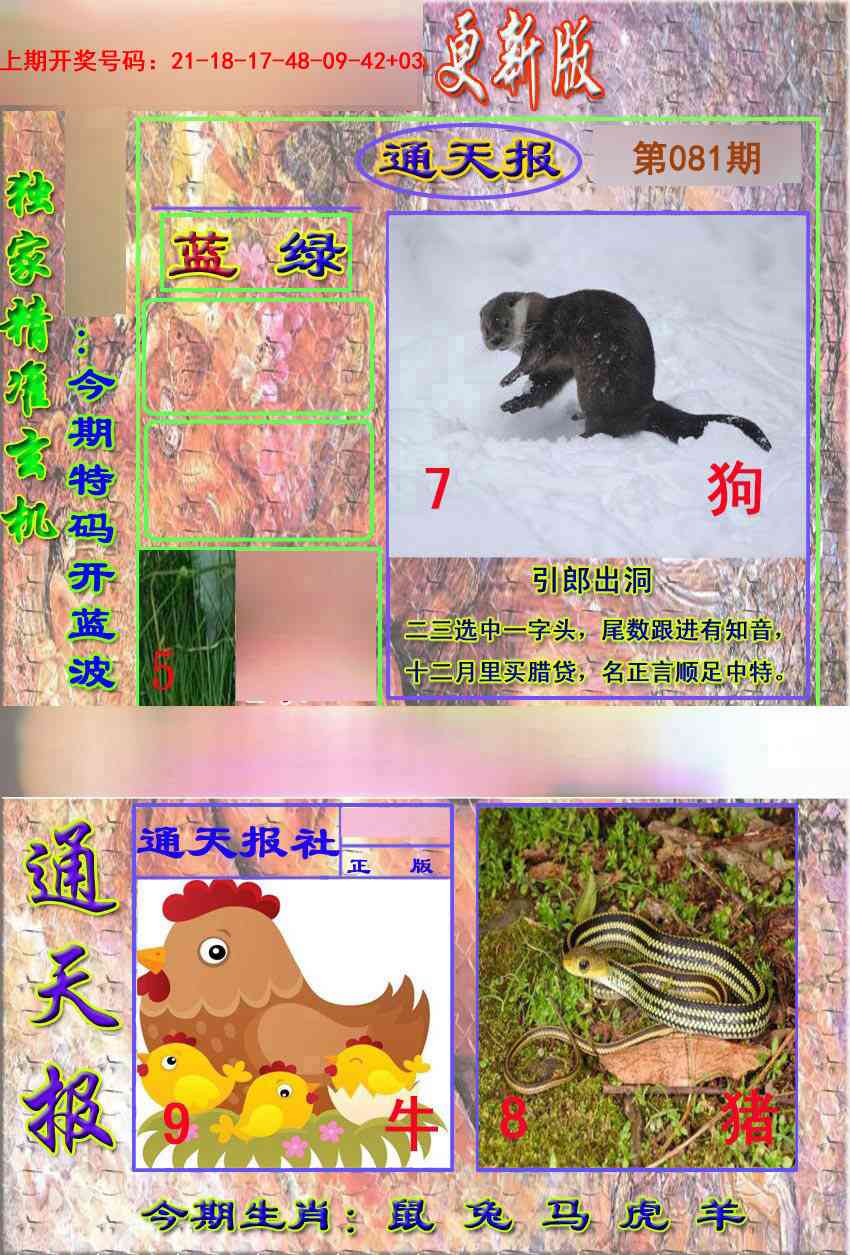 081期新通报[图]