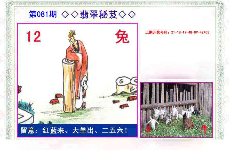 081期翡翠报[图]