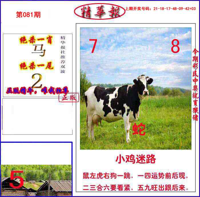 081期新精华报报[图]