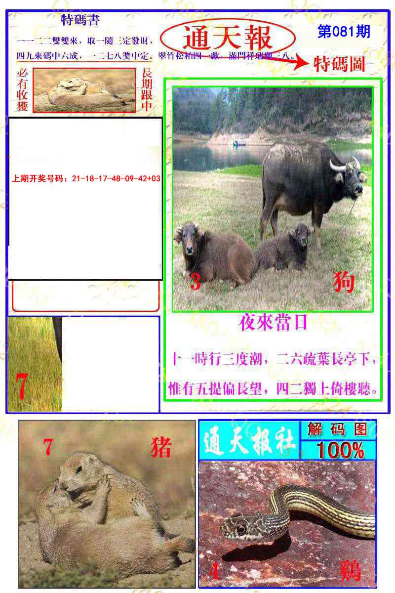 081期通天特解图[图]